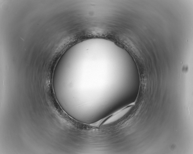 X0000093600593200711051200