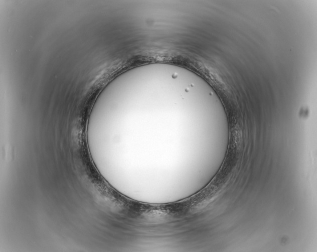 X0000093600594200711051200