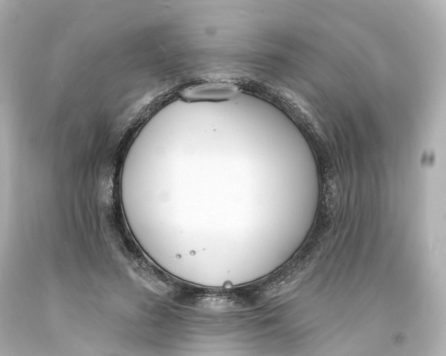 X0000093600596200711051200