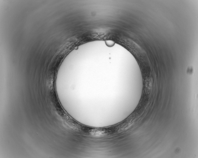 X0000093600602200711051200