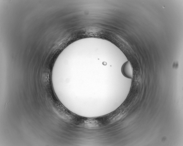 X0000093600603200711051200