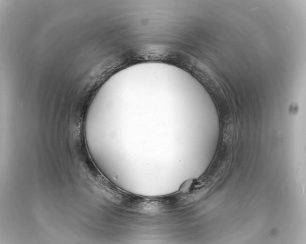 X0000093600604200711051200