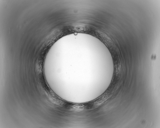 X0000093600606200711051200