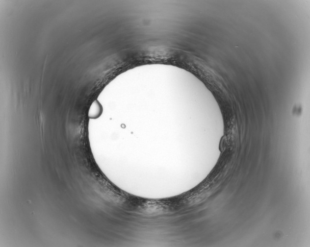 X0000093600608200711051200