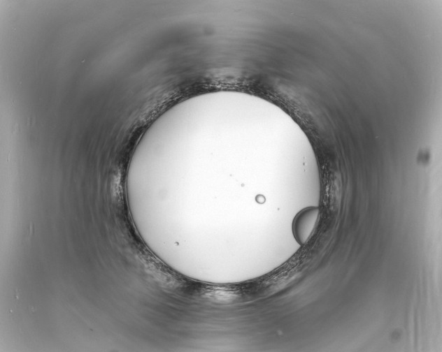 X0000093600610200711051200