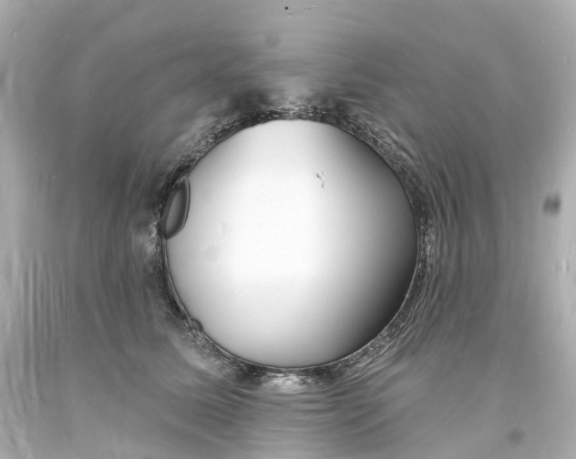 X0000093600611200711051200