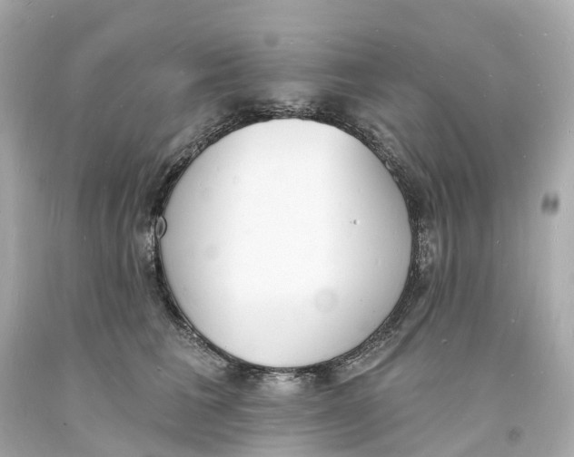 X0000093600613200711051159