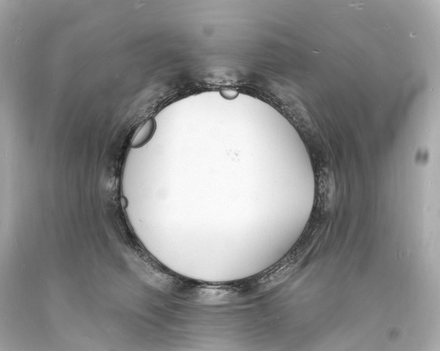 X0000093600614200711051159