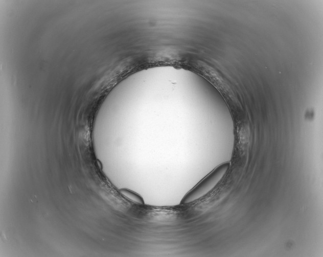 X0000093600617200711051159