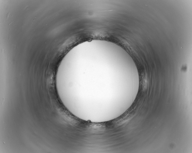 X0000093600619200711051159