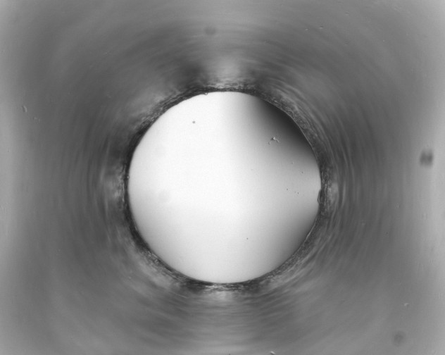 X0000093600620200711051159