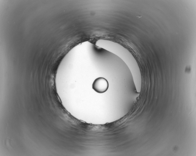 X0000093600621200711051159