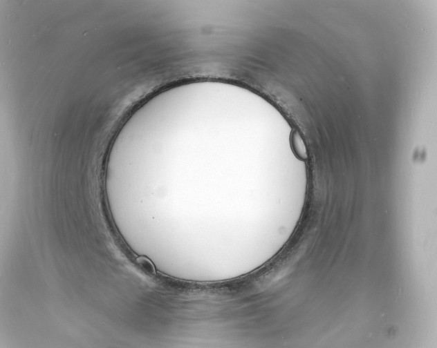 X0000093600625200711051159