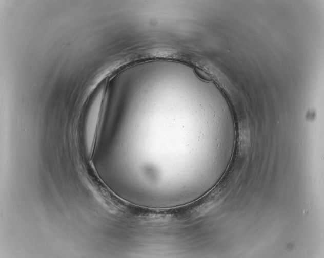 X0000093600626200711051159