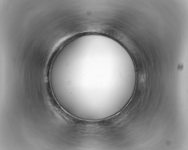 X0000093600628200711051159