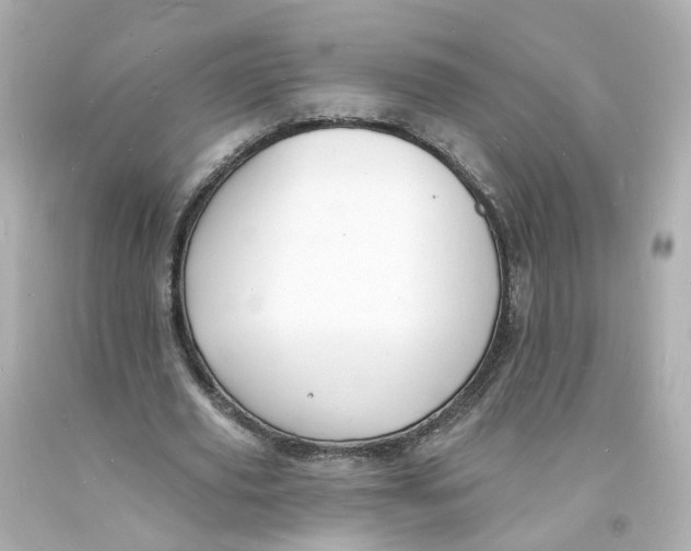 X0000093600629200711051159