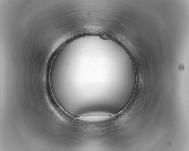 X0000093600630200711051159