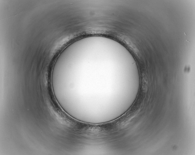 X0000093600631200711051159