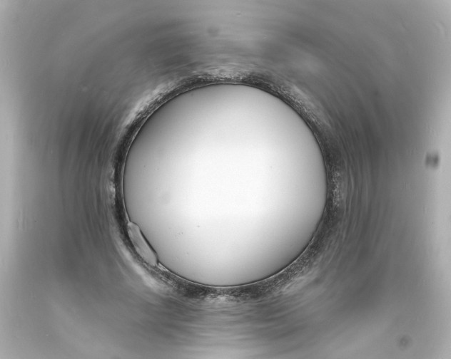 X0000093600634200711051159