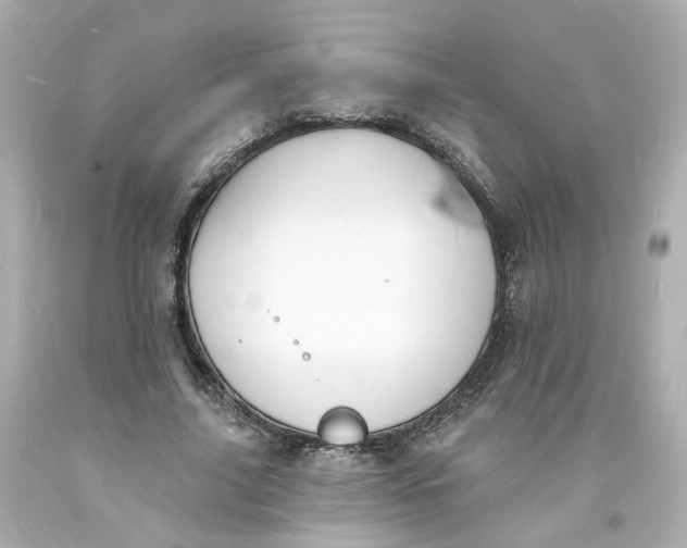 X0000093600635200711051159