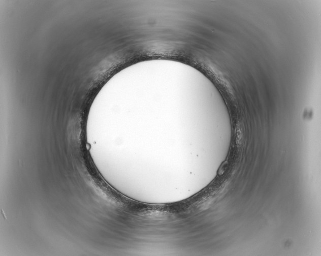 X0000093600637200711051159