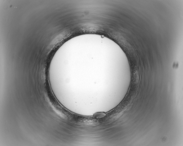 X0000093600638200711051159