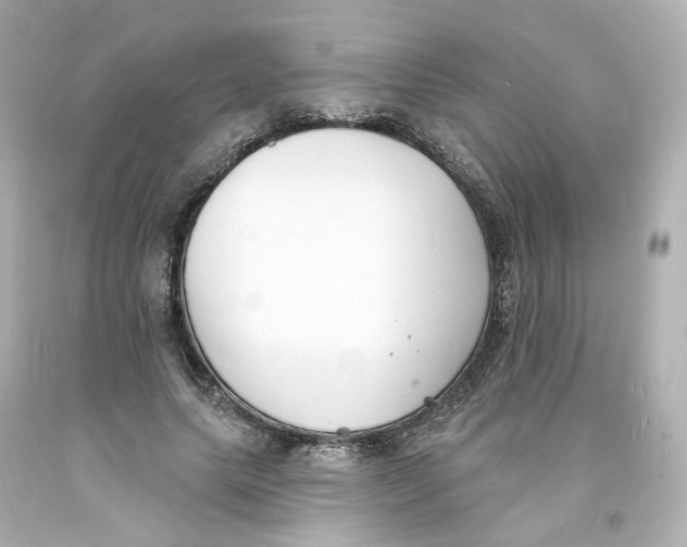 X0000093600639200711051159