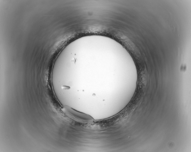 X0000093600640200711051159