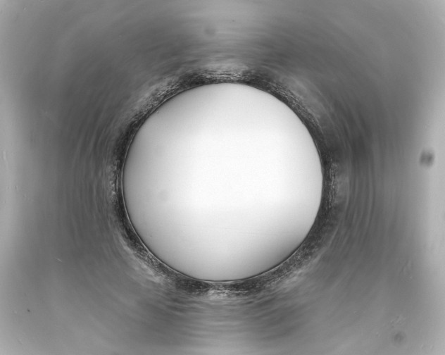 X0000093600641200711051159