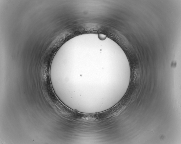 X0000093600644200711051159