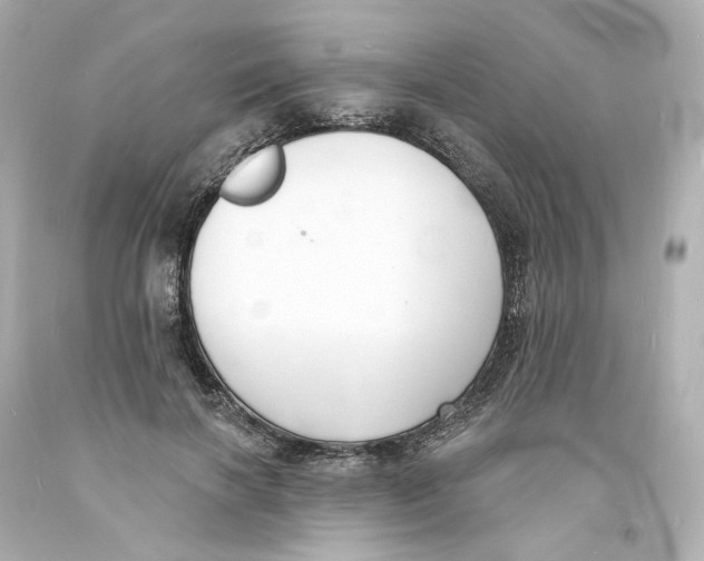 X0000093600646200711051159