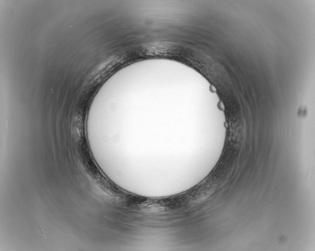 X0000093600648200711051159