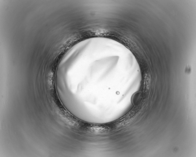 X0000093600650200711051159