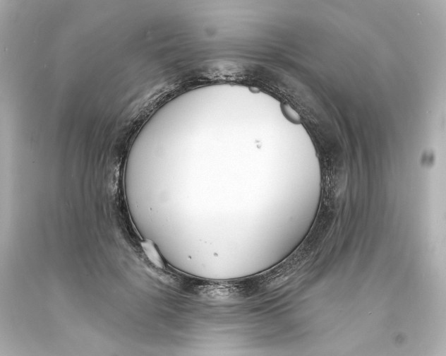 X0000093600652200711051159