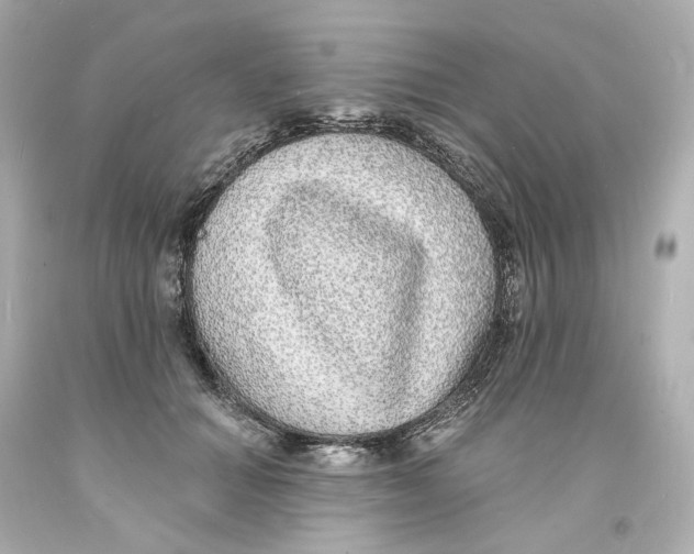 X0000093600654200711051159