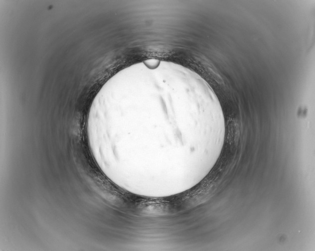 X0000093600655200711051159