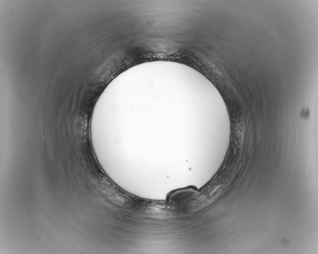 X0000093600657200711051159