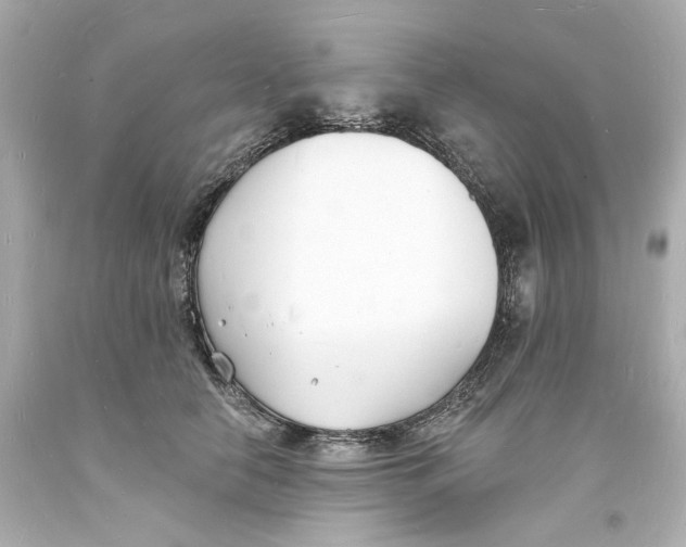 X0000093600658200711051159