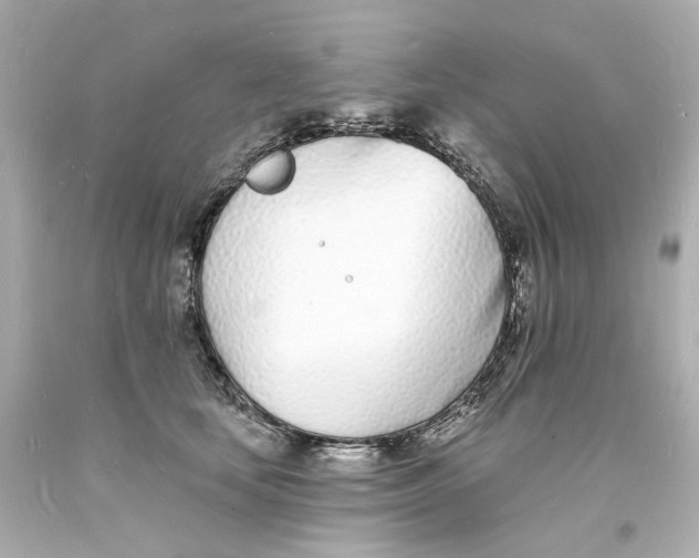 X0000093600659200711051159