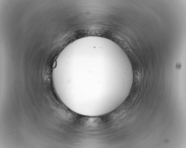 X0000093600663200711051159