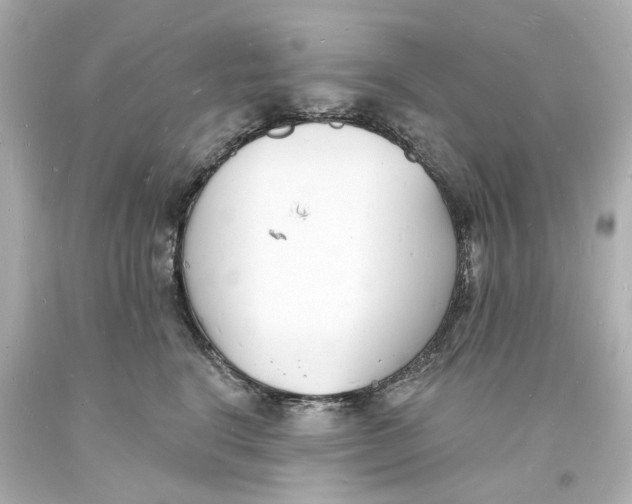 X0000093600664200711051159