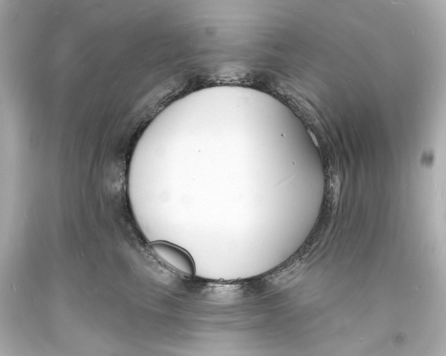 X0000093600665200711051159