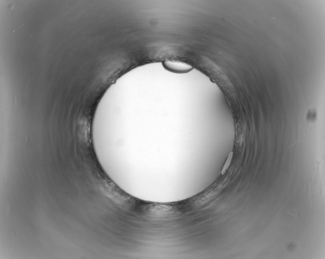 X0000093600669200711051159