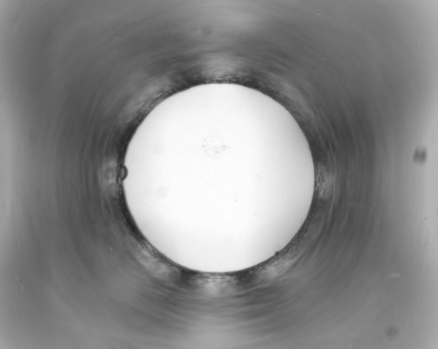 X0000093600670200711051159