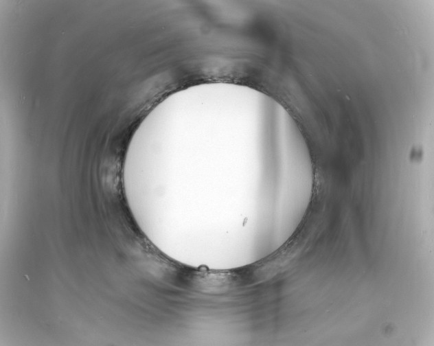 X0000093600671200711051159