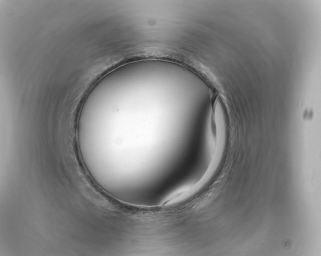 X0000093600673200711051159