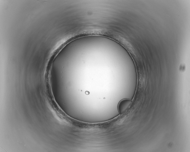 X0000093600674200711051159