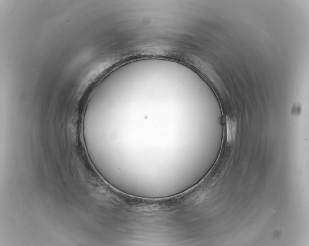 X0000093600675200711051159