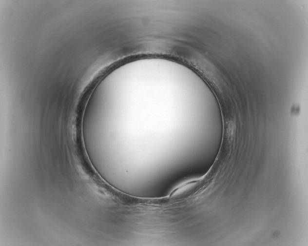 X0000093600676200711051159