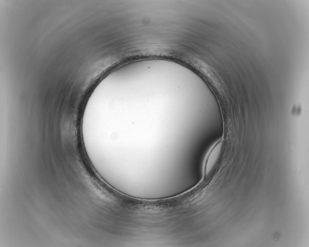 X0000093600677200711051159